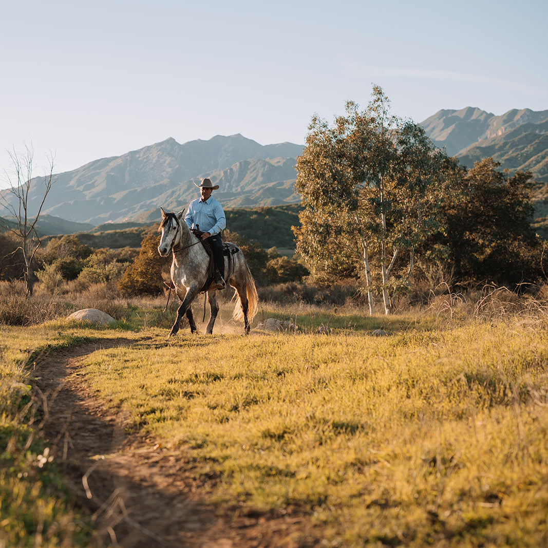 Amor Del Sol Sunscreen